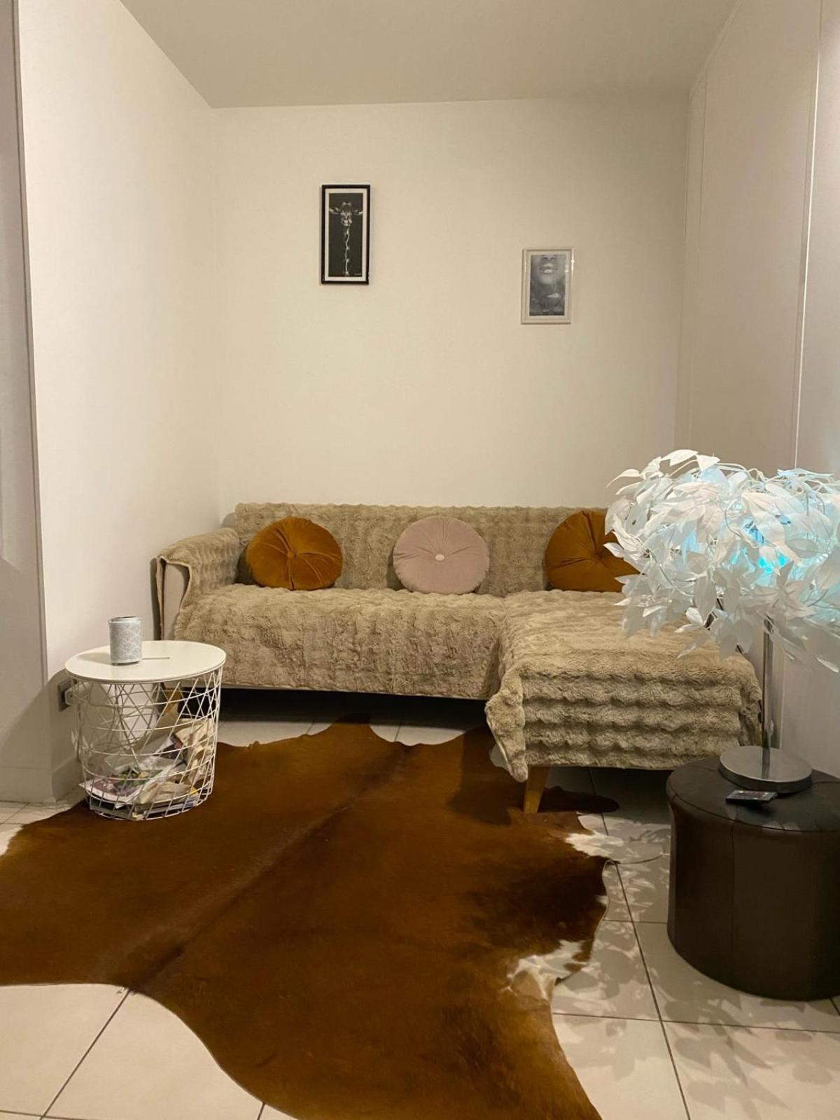 Appartement Super T2 Avec Piscine 3eme Lyon
